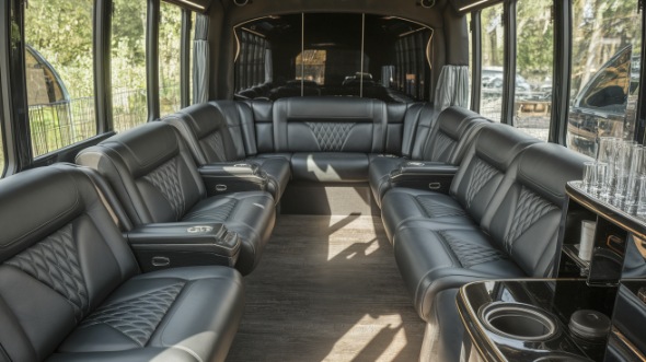 lansing sprinter limo rental interior